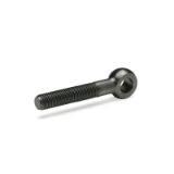 GN1524 - Swing bolts, with long threaded bolt
