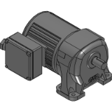 Gearmotor