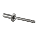 Sealed Blind Rivet