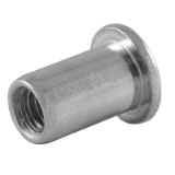 Blind Rivet Nut Parallel Shank